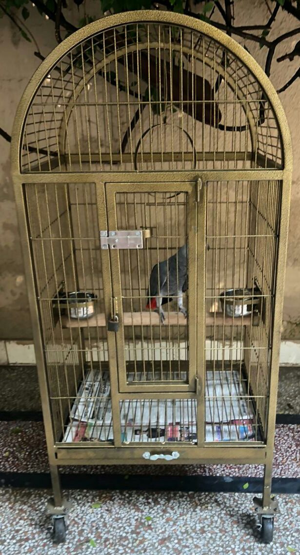 Large Size moving Cage for Raw or Grey parrto