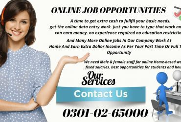 Part time home based job with daily payment