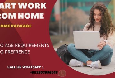 HOME BASED DATA ENTRY WORK