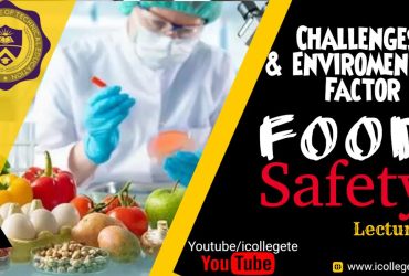 International Food Safety course in Mingora Mardan