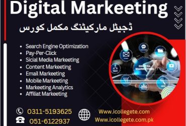 Professional Digital Marketing course in rawalakot Azad Kashmir