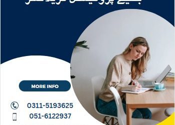 Best Freelancing 4 months  course in Rawalakot AJK