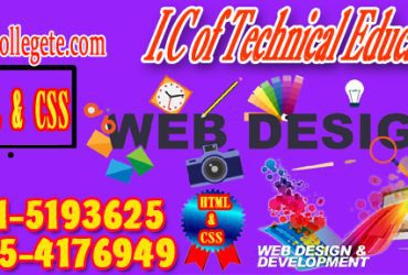 Professional Web Designing Course in Mingora Mardan