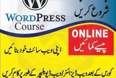 Professional Web development course in Bhimbar AJKJ