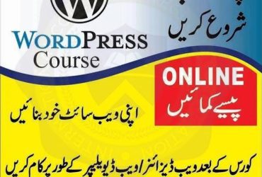 PROFESSIONAL WEB AND GRAPHIC DESIGNIN BAGH AJK