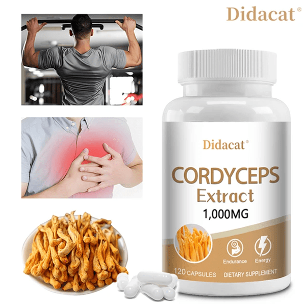 Didacat Cordyceps Extract 1000mg Capsules In Pakistan Wellmart +923208727951