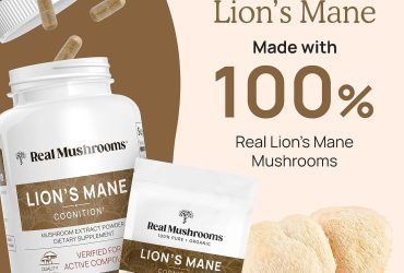 Real Mushrooms Lion's Mane Cognition Price In Pakistan Wellmart +923208727951