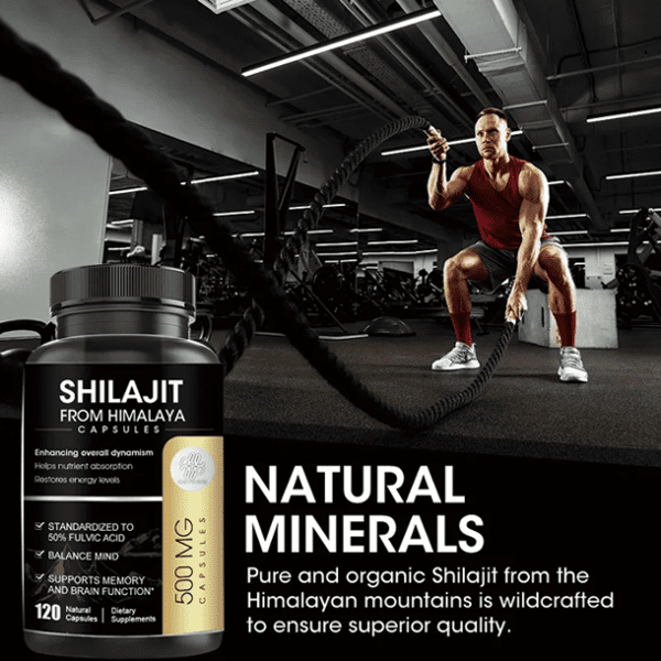 Shilajit From Himalaya Capsules Price In Pakistan Wellmart |+923208727951